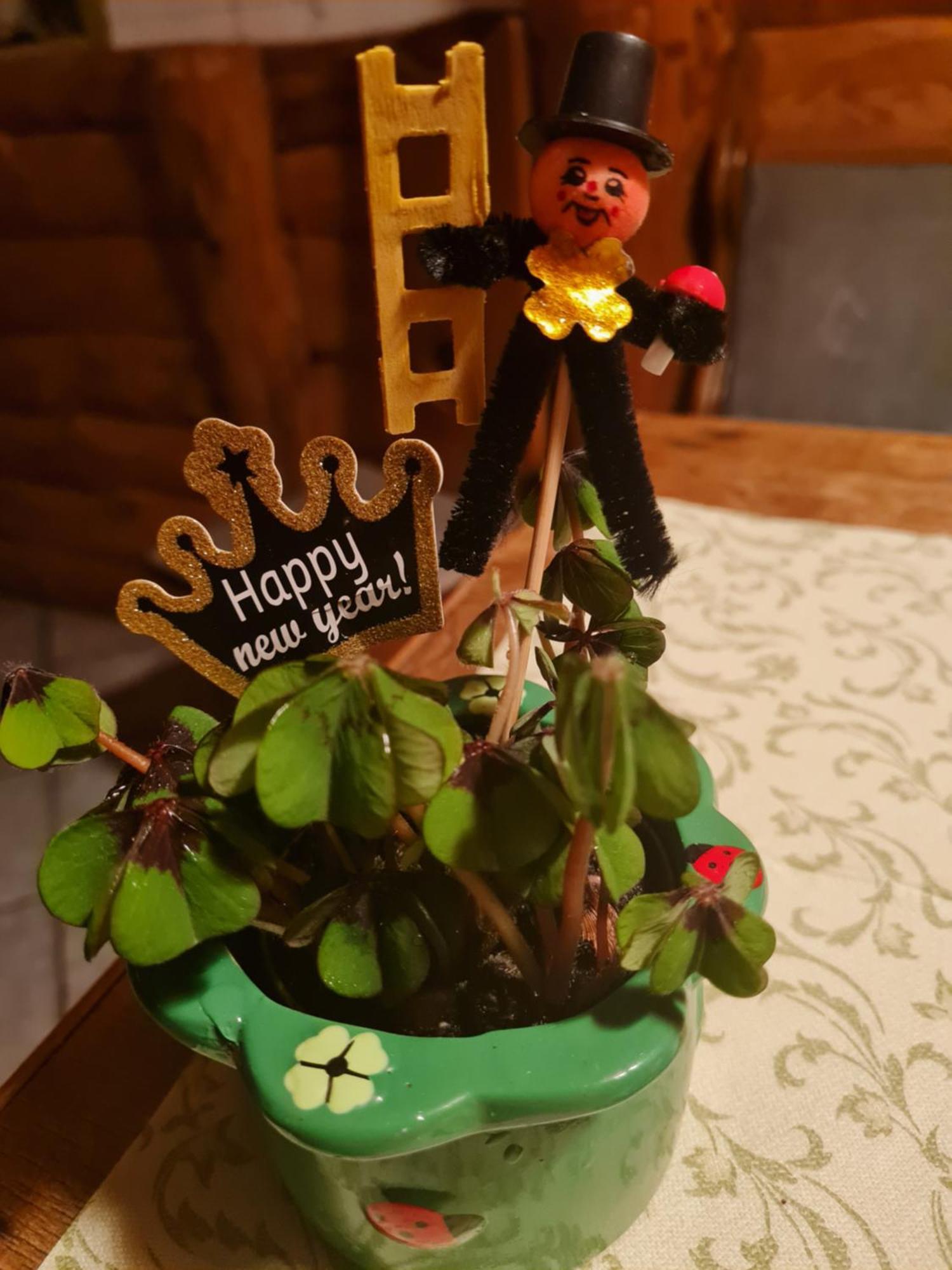 Pension Und Gaststaette Zur Knappenschaenke Thermalbad Wiesenbad Екстериор снимка